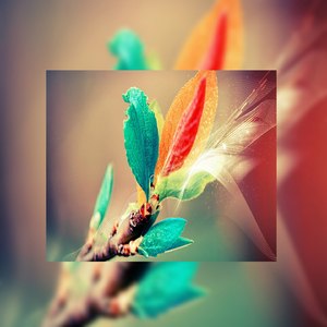 老汉夺走女警花第一次淫秽视播放网站无码
